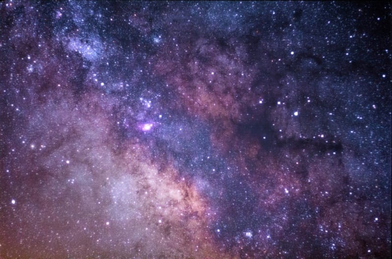 New space gallery at Centre for Life