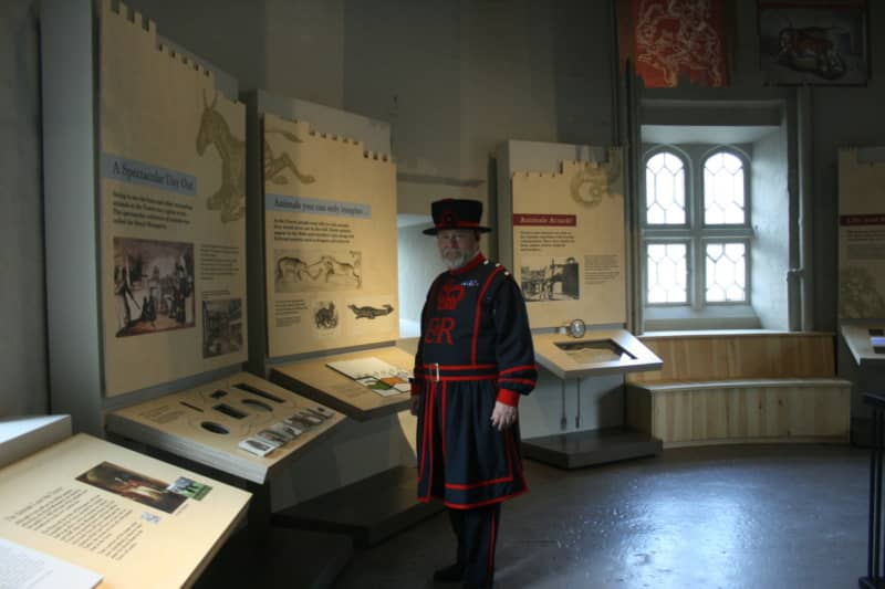 Royal Beasts – Exhibition Design